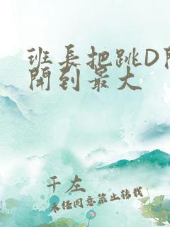 班长把跳D开关开到最大