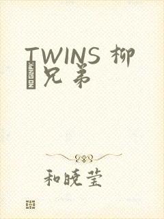 TWINS 柳澤兄弟