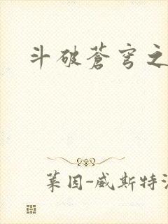 斗破苍穹之弑神