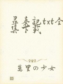 寻秦记txt全集下载