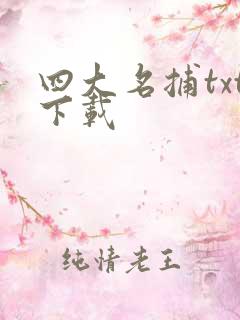 四大名捕txt下载