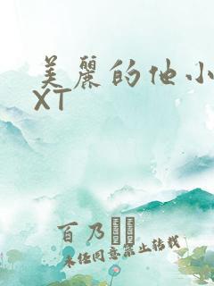 美丽的他小说TXT