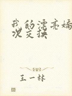 我的漂亮娇妻初次交换