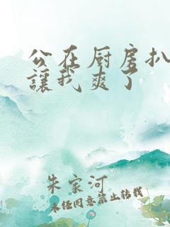 公在厨房扒开腿让我爽了