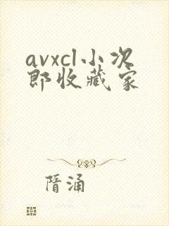 avxcl小次郎收藏家