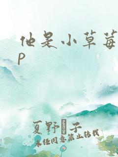 他是小草莓pop