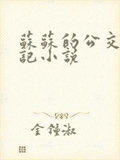 苏苏的公交车日记小说