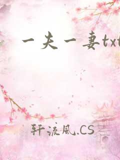 一夫一妻txt