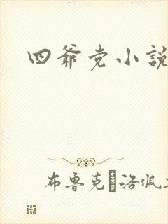 四爷党小说