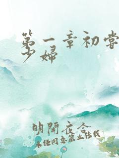 第一章初尝云雨少妇