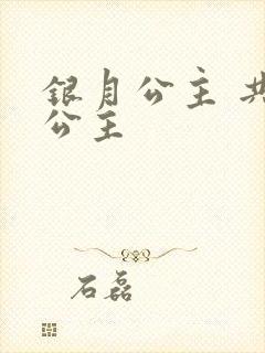 银月公主 共享公主