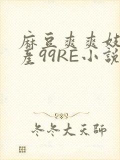 麻豆爽爽妓女国产99RE小说