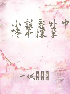 小说番外中结局佟年怀孕