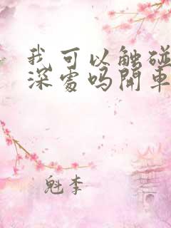 我可以触碰你的深处吗开车作文