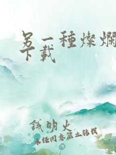 另一种灿烂生活下载