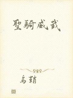 圣骑威武