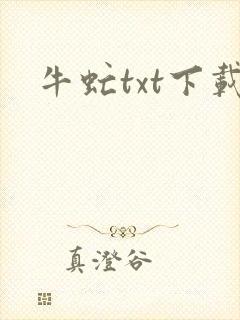 牛虻txt下载