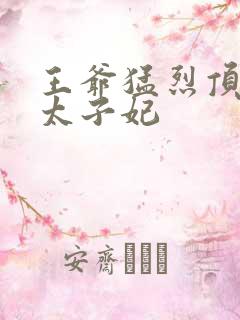 王爷猛烈顶弄H太子妃