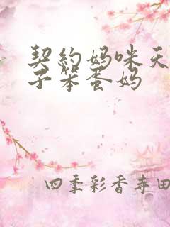 契约妈咪天才儿子笨蛋妈