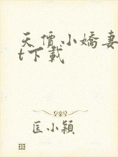 天价小娇妻txt下载