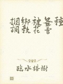 捆绑被各种工具调教花蒂