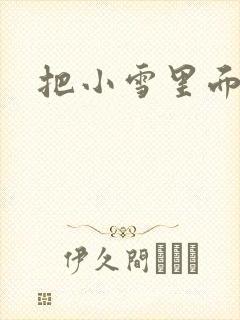 把小雪里面整满