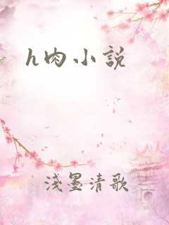 h肉小说