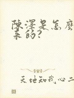 陈泽是怎么火起来的?