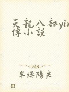 天龙八部yin传小说