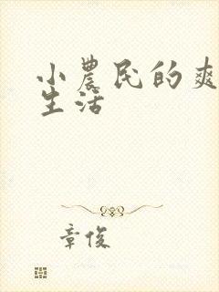 小农民的爽歪歪生活