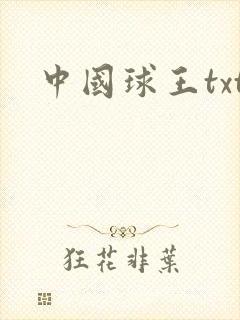 中国球王txt