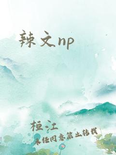 辣文np