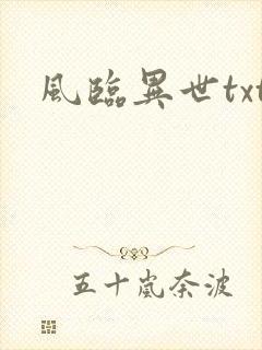 风临异世txt