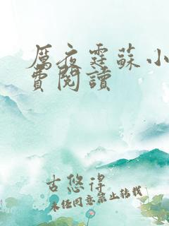 厉夜霆苏小汐免费阅读