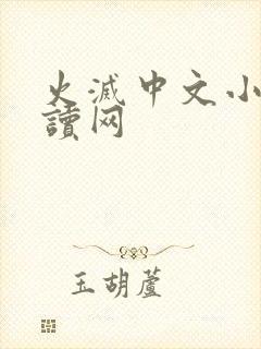 火灭中文小说阅读网