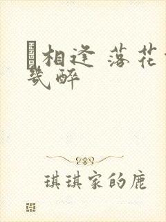 囍相逢 落花能几醉