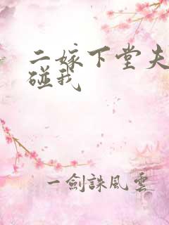 二嫁下堂夫君别碰我
