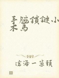 手腕锁链小黑屋木马