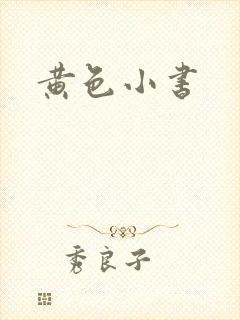 黄色小书