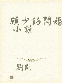 顾少的闪婚宠妻 小说