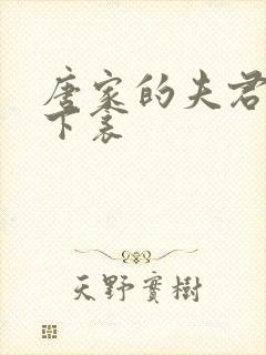 唐家的夫君们帘下衾