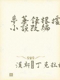 梦华录根据什么小说改编