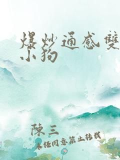 爆炒通感双胞胎小狗