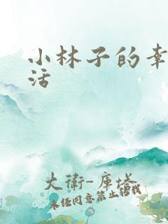 小林子的幸福生活