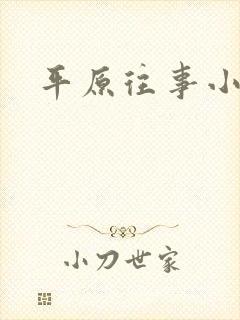 平原往事小说
