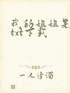 我的姐姐是美女txt下载