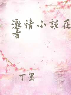 激情小说在线观看