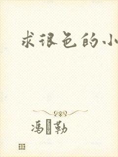 求很色的小说