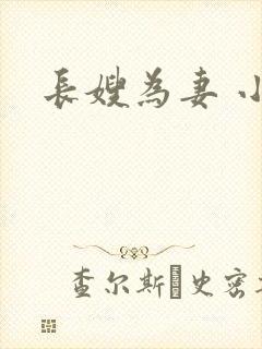 长嫂为妻 小说