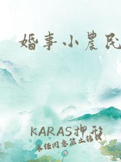 婚事小农民